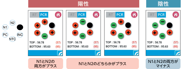 検査結果判定の見方